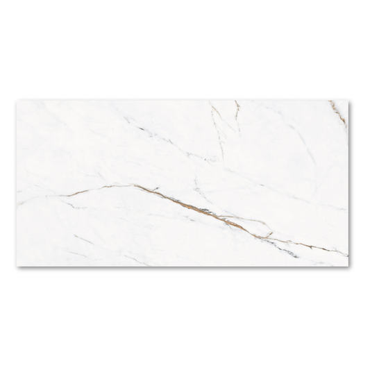 Torano Dorado Matt 60x120