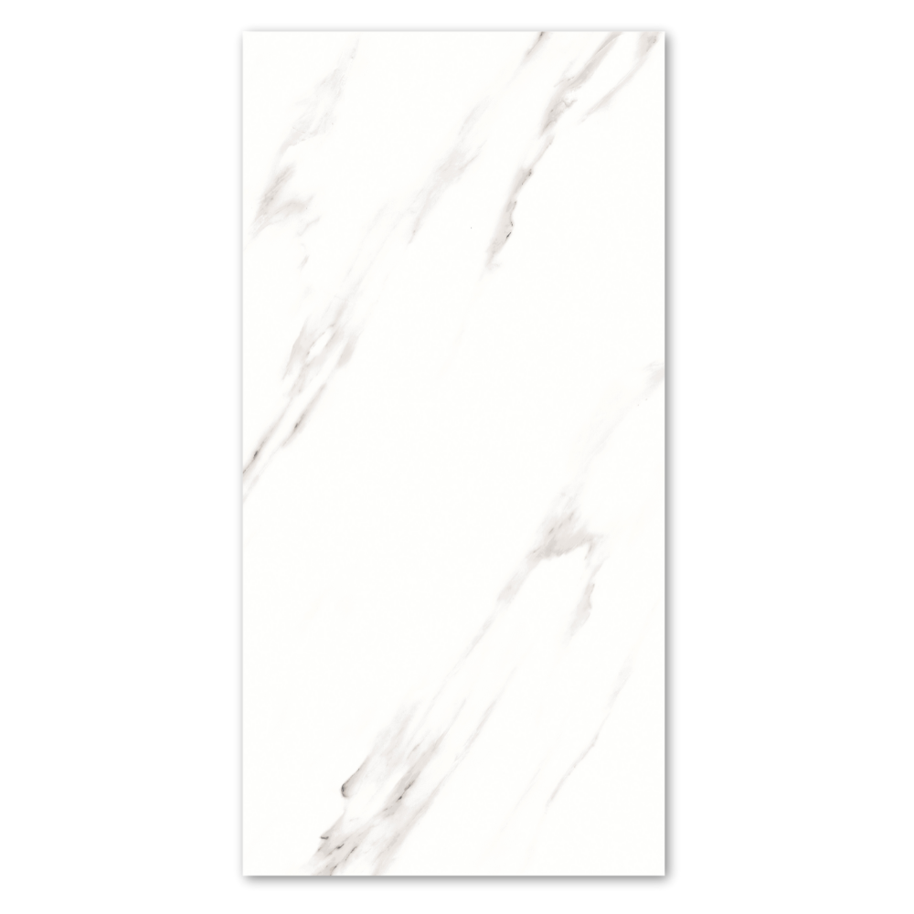 Classic Carrara Polished 60x120