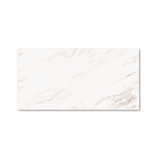 Rosebury White Endless 60x120