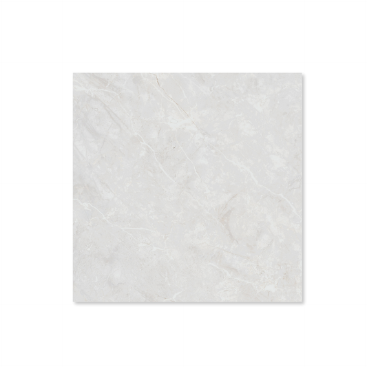 Belvedere White Polished 60x60