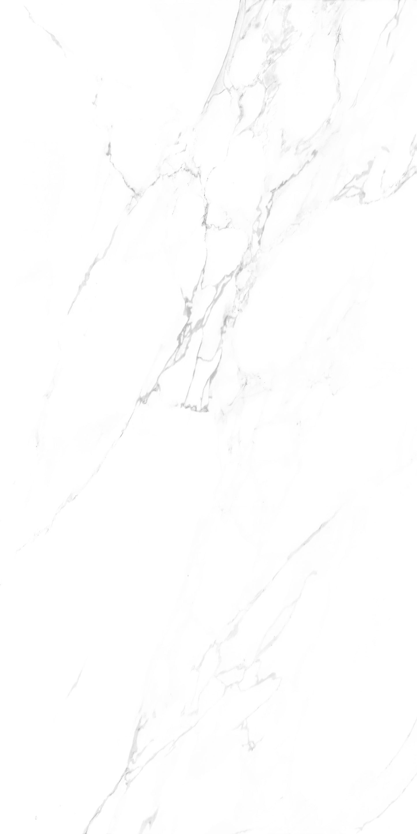 Classic White Matt Carving 60x120