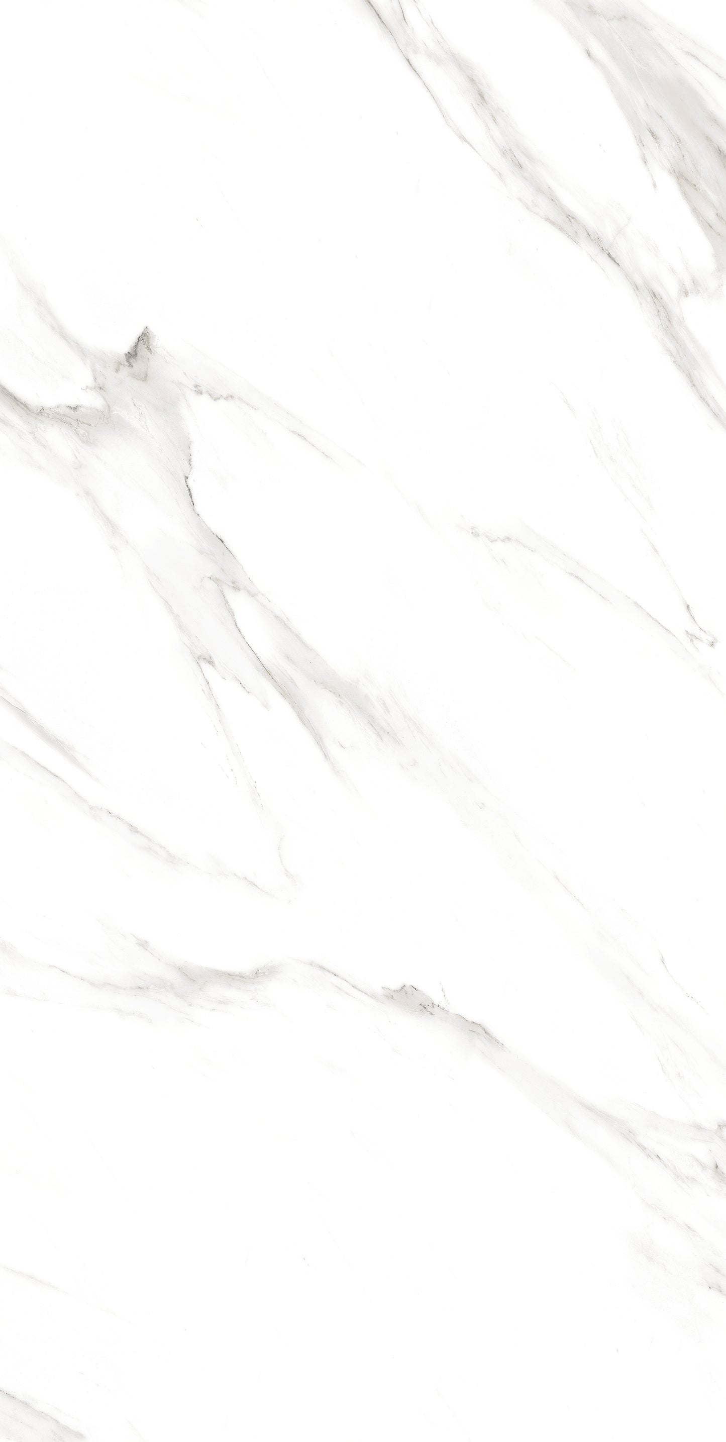 Prizma Statuario Matt 60x120