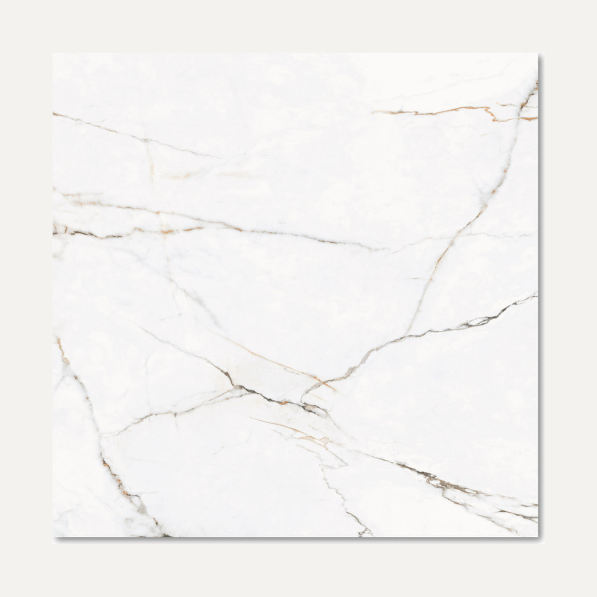 Torano Dorado Matt 60x60