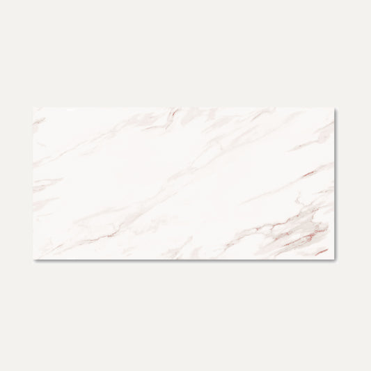 Rosebury White Endless 60x120
