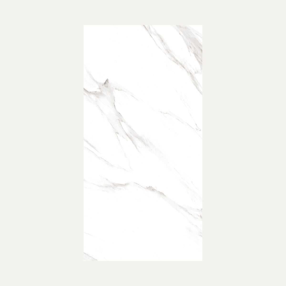 Prizma Statuario Matt 60x120 (12207M)
