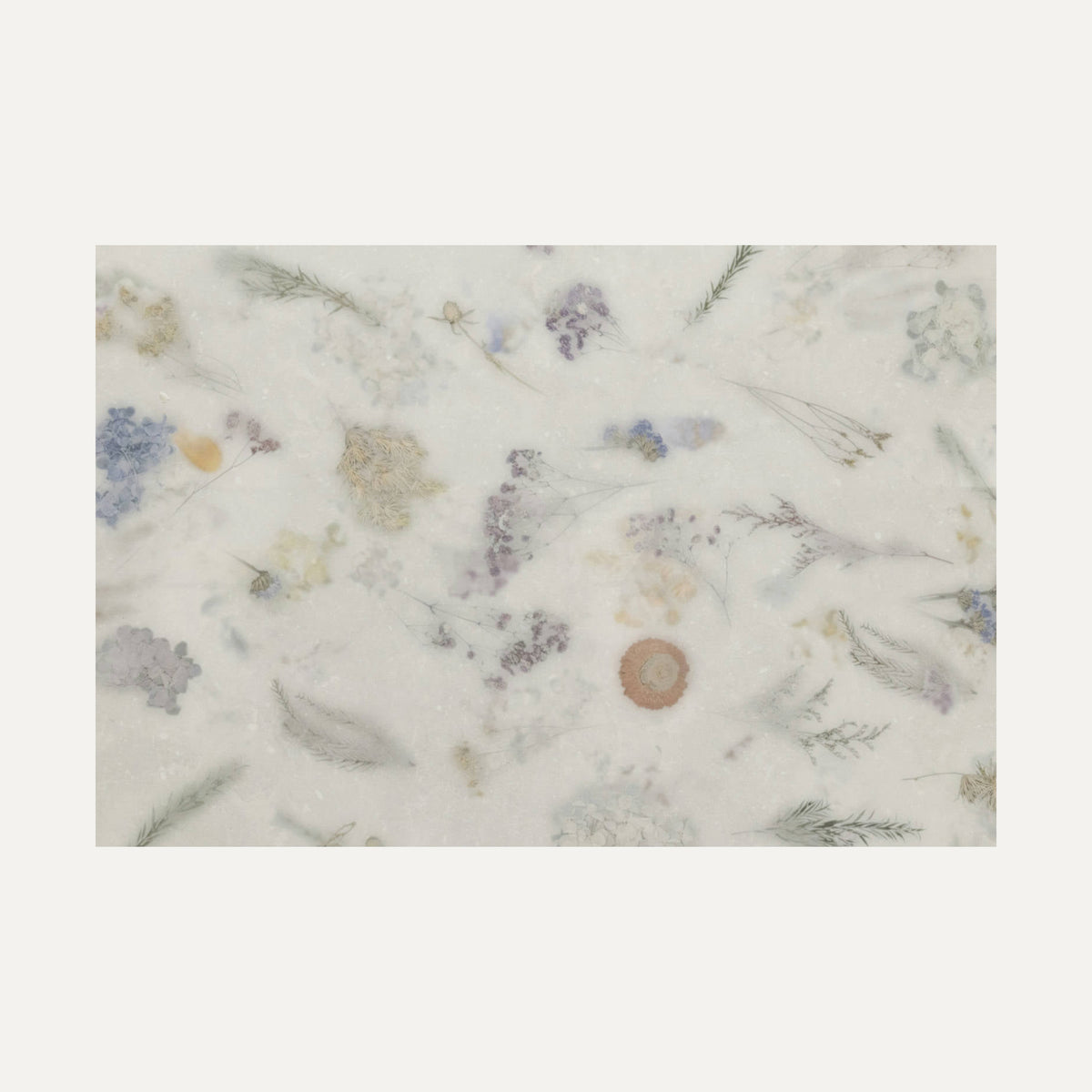 Space Decor Ntec White 60X120