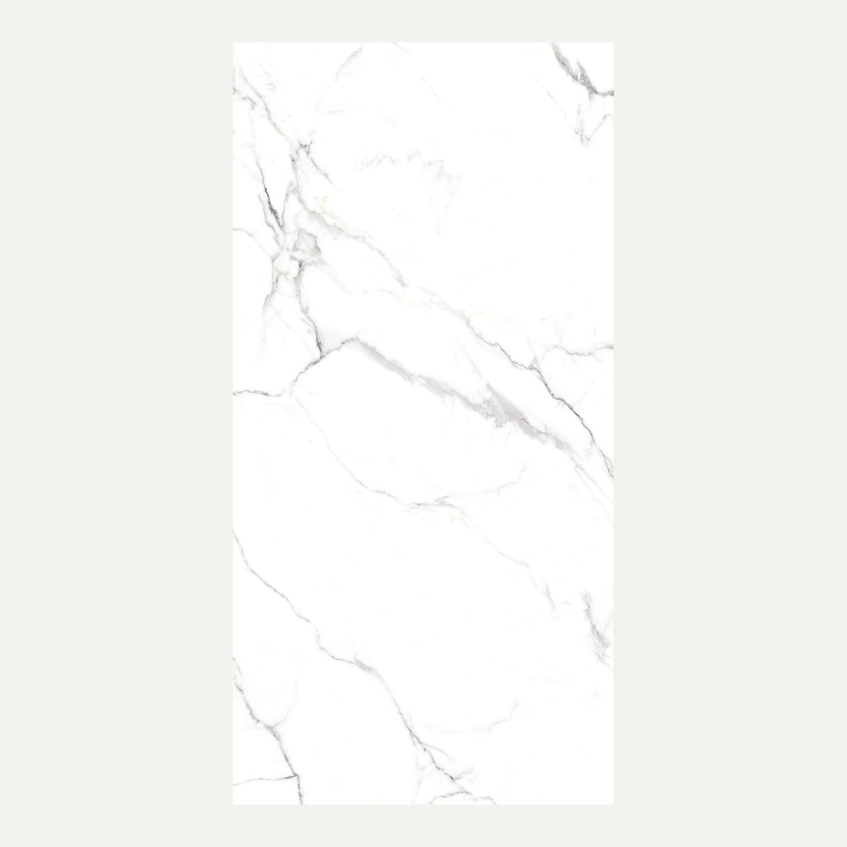 Snow White Polished 60x120