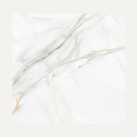 White Viola 60x60
