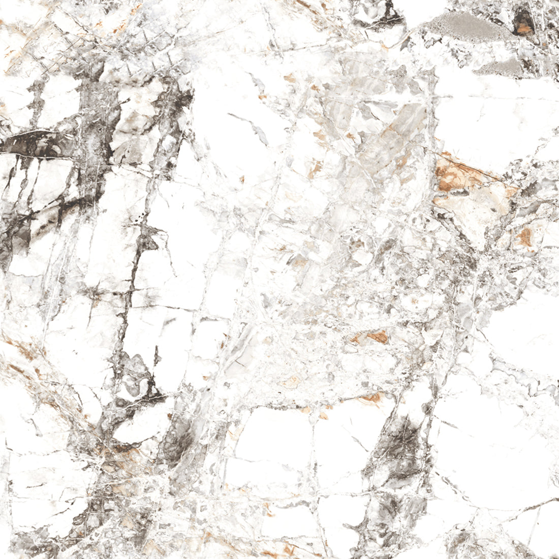 Zebra White Gloss 60x60