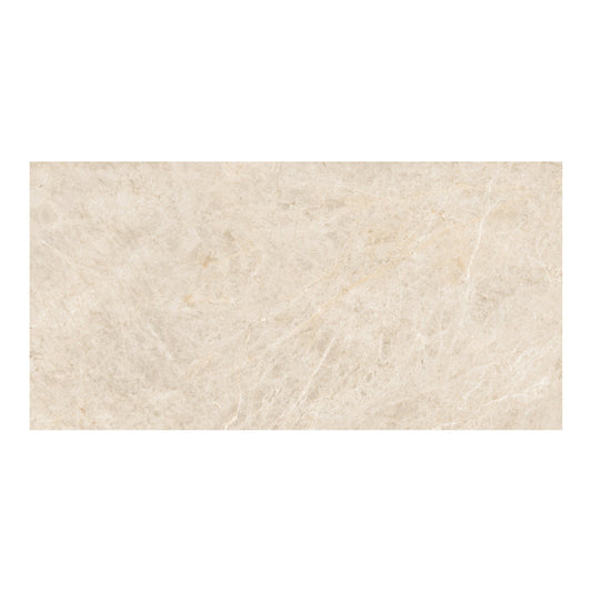 Taj Mahal Polished 60x120