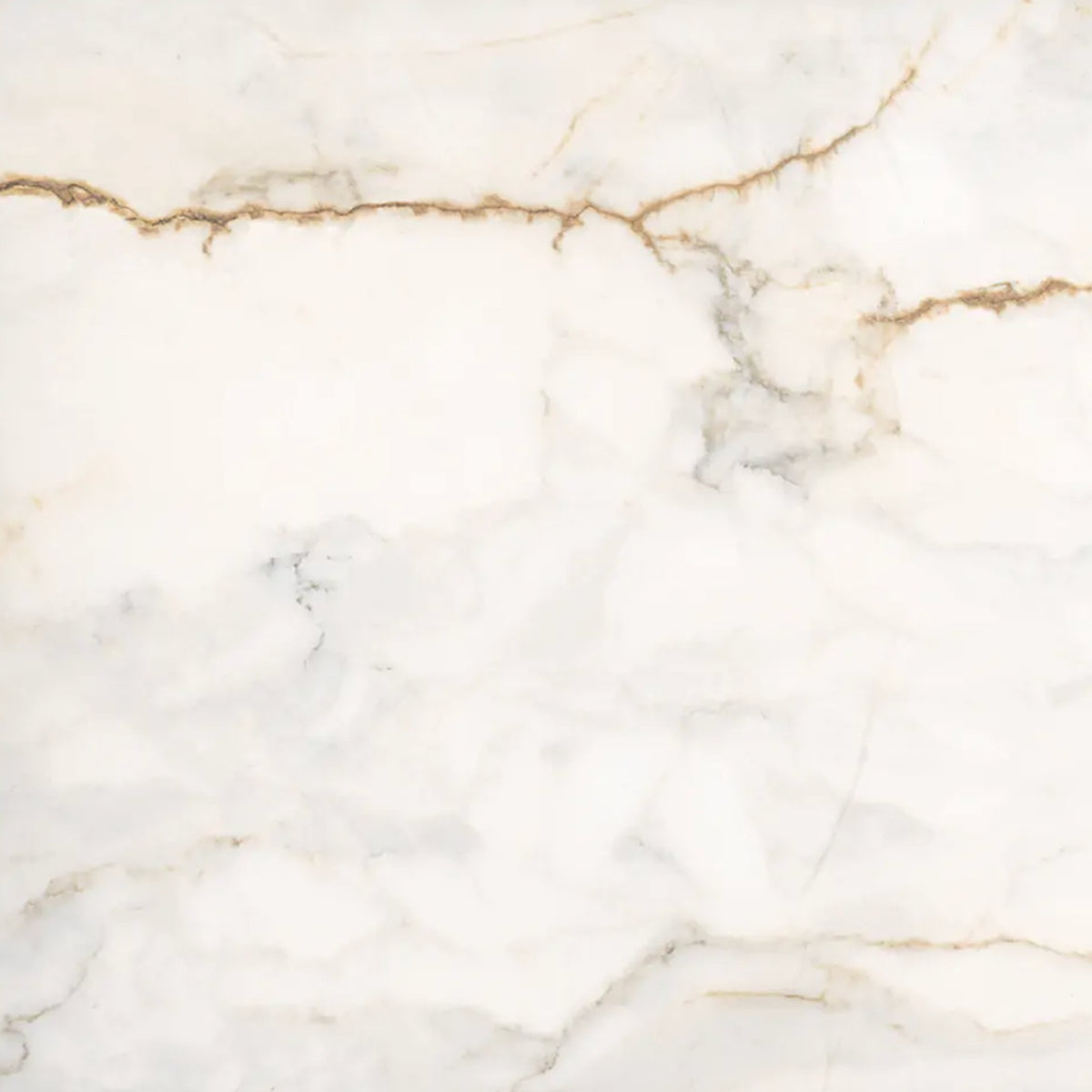 Eagle Gold Polished 60x60