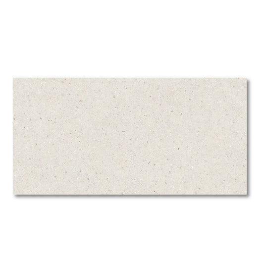 Bergen Ivory Matt 60x120