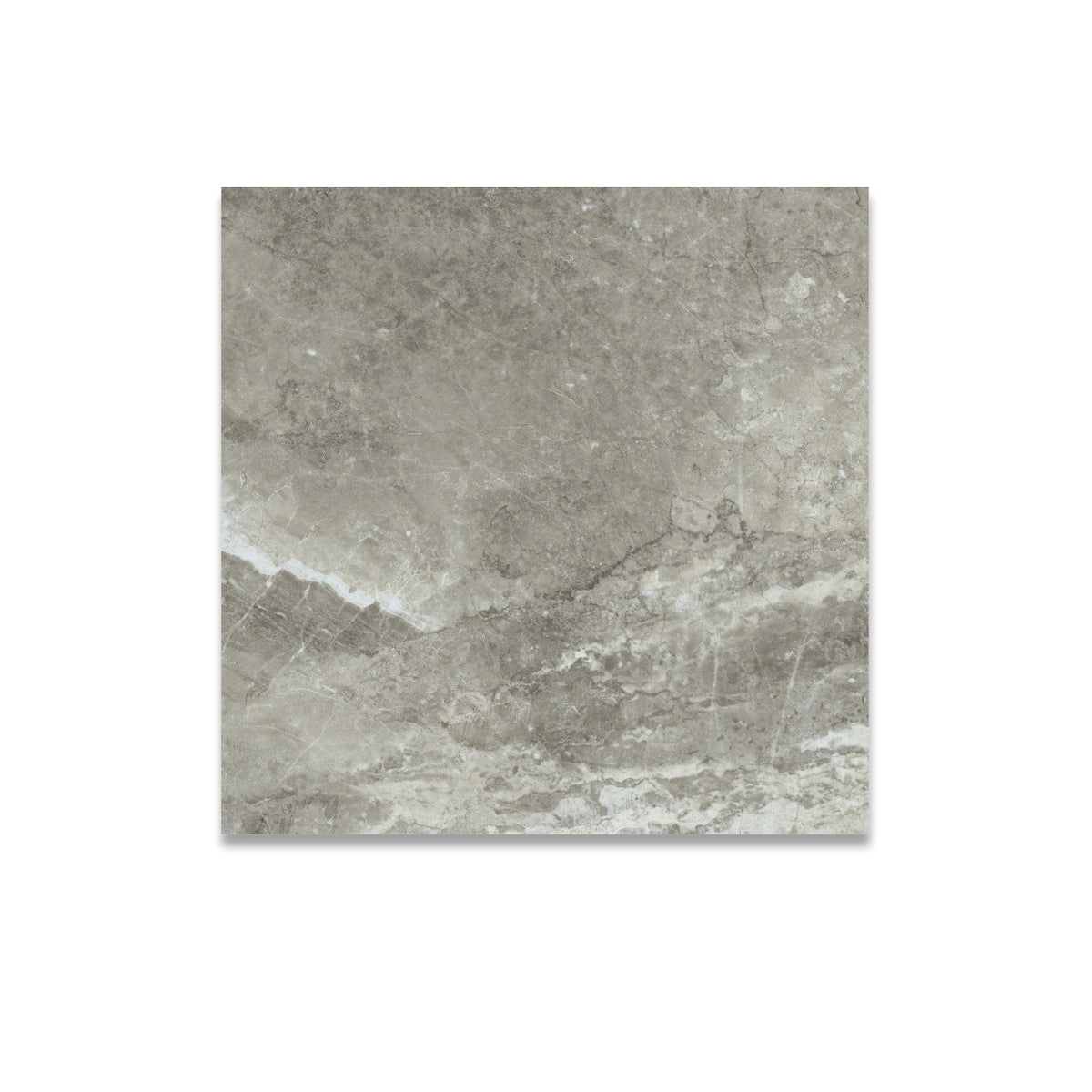 Arezzo Tortora Matt 75x75