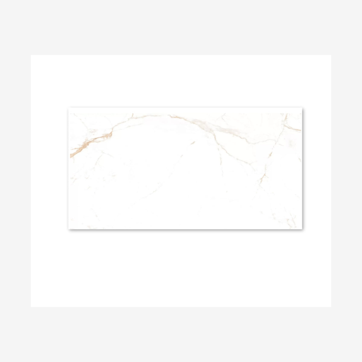 Noor Satvario Gold Polished 60x120