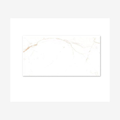 Noor Satvario Gold Polished 60x120