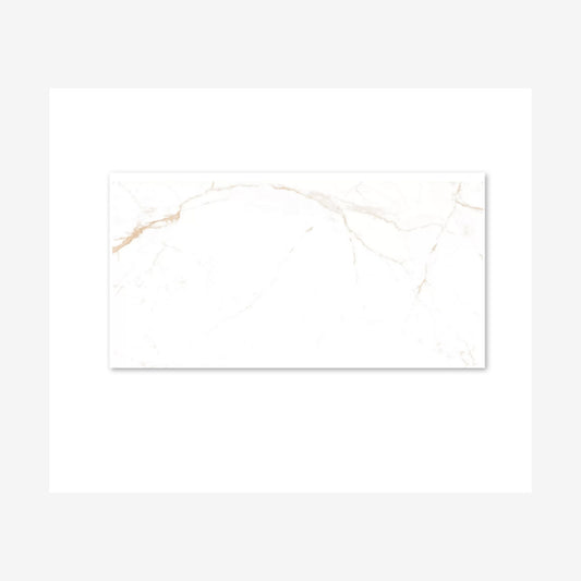 Noor Satvario Gold Polished 60x120