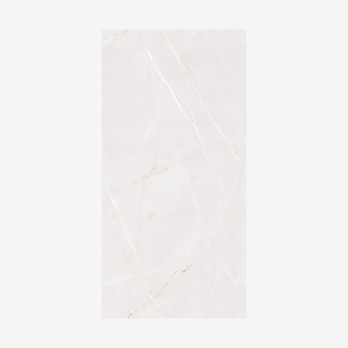 Arbian Bianco Polished 60x120