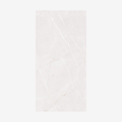 Arbian Bianco Polished 60x120