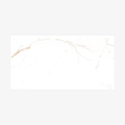 Noor Satvario Gold Polished 60x120