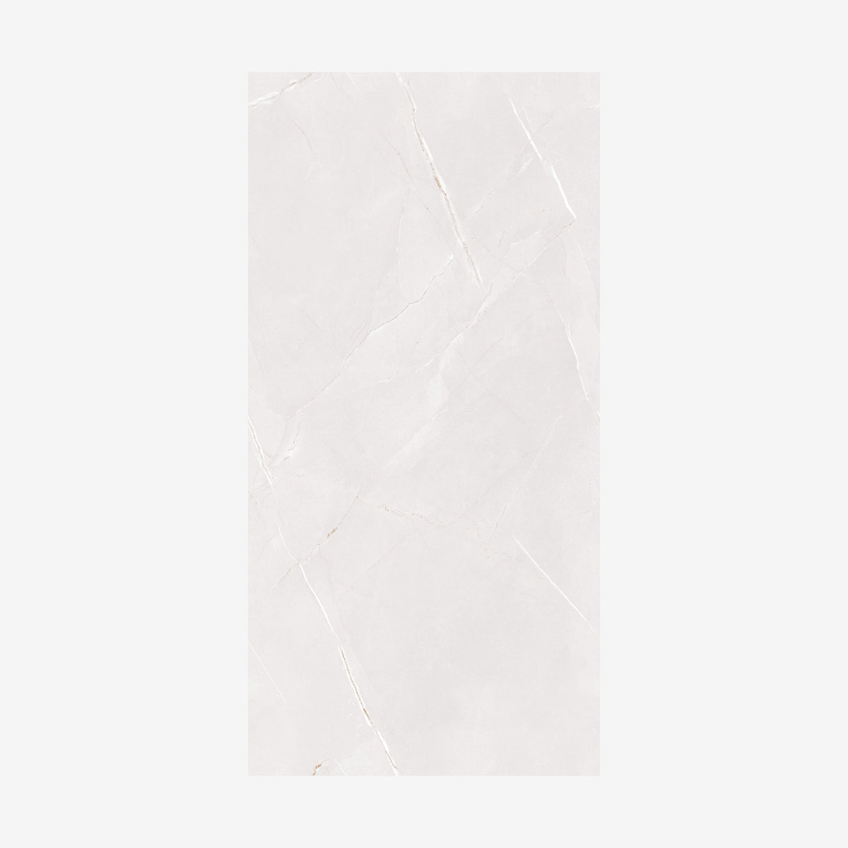 Arbian Bianco Polished 60x120