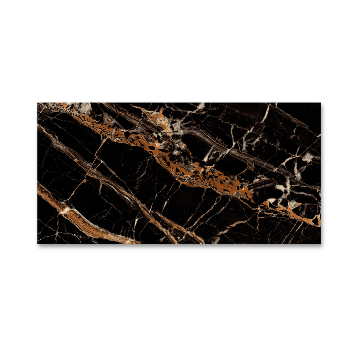 Galaxy Black High Gloss 60x120