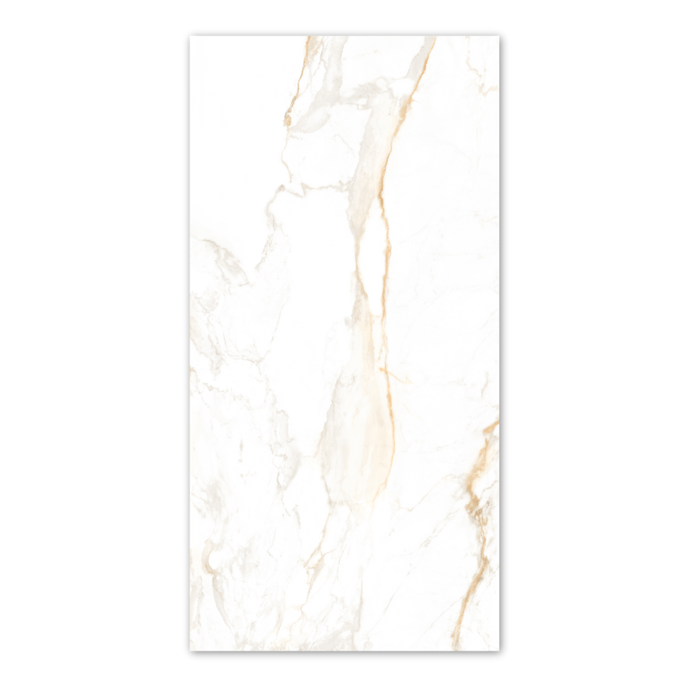 Calcatta Golden Matt 60x120