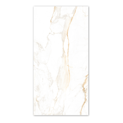 Calcatta Golden Matt 60x120