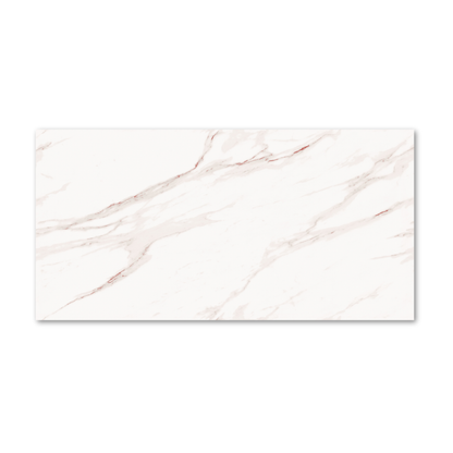 Rosebury White Endless 60x120