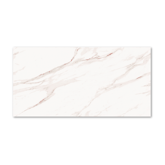 Rosebury White Endless 60x120