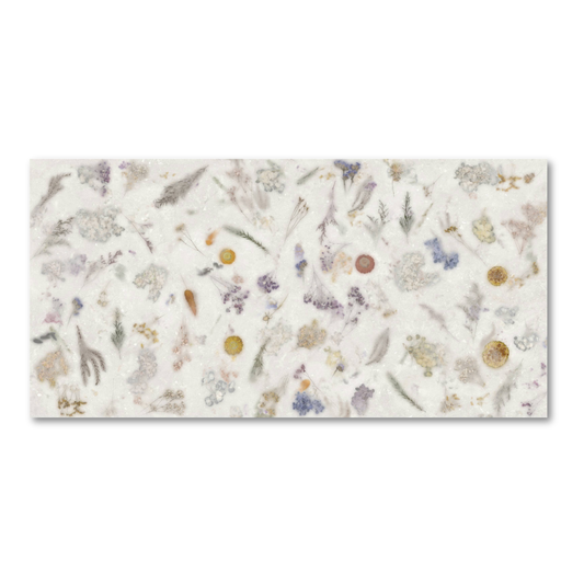 Space Decor Ntec White 60X120