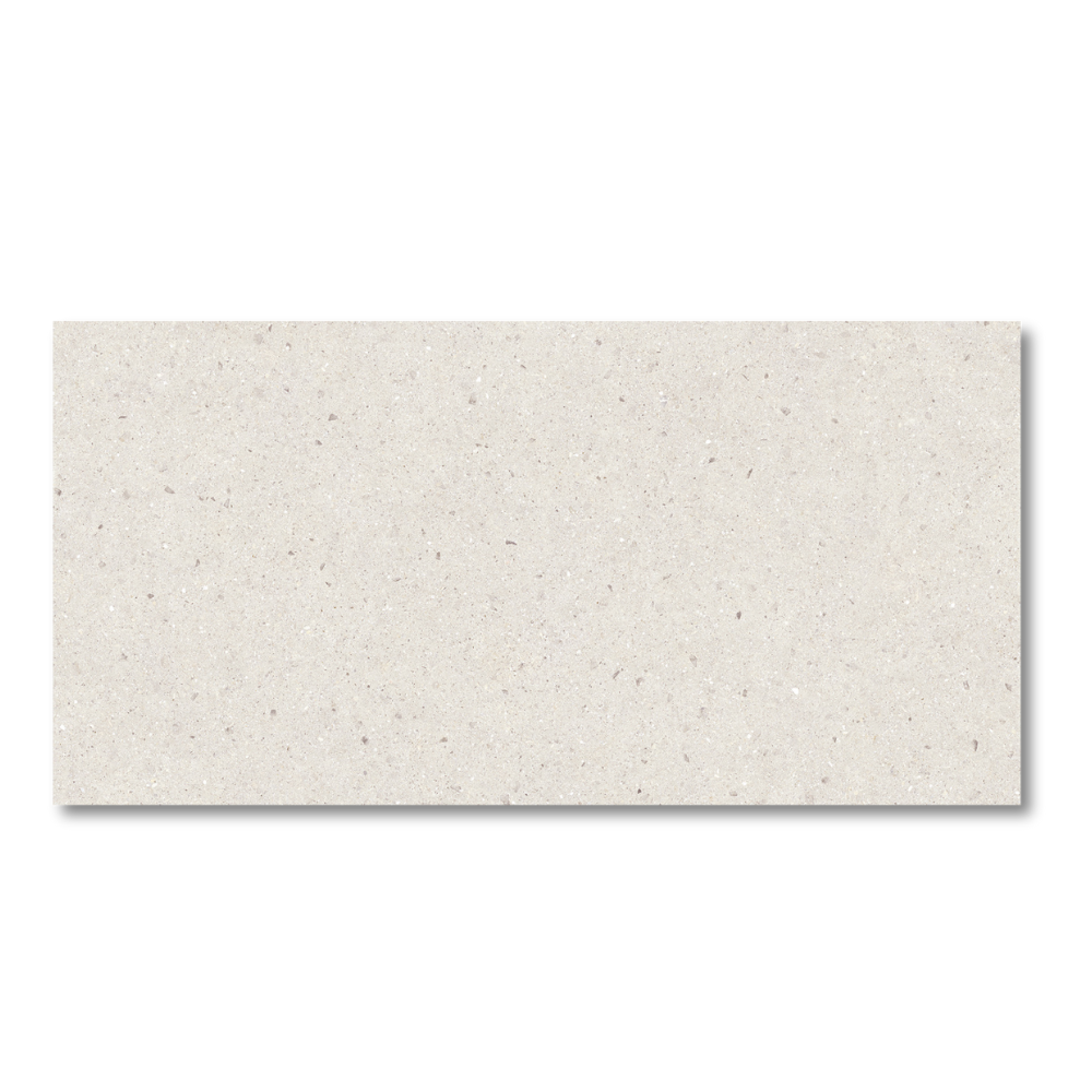 Bergen Ivory Matt 60x120