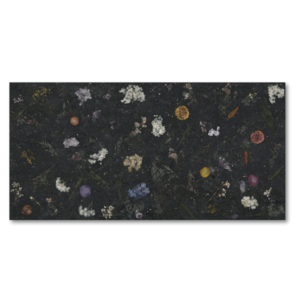 Space Decor Ntec Black 60X120