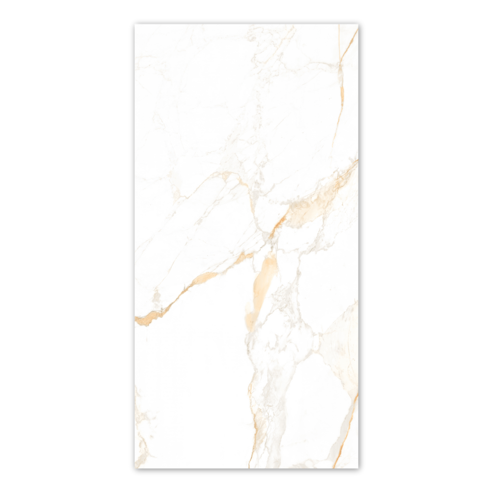 Calcatta Golden Matt 60x120