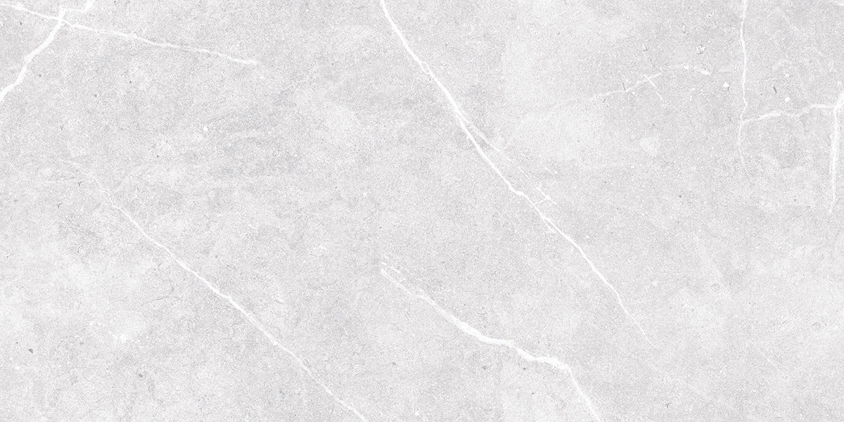 Agean Grey Matt 60x120