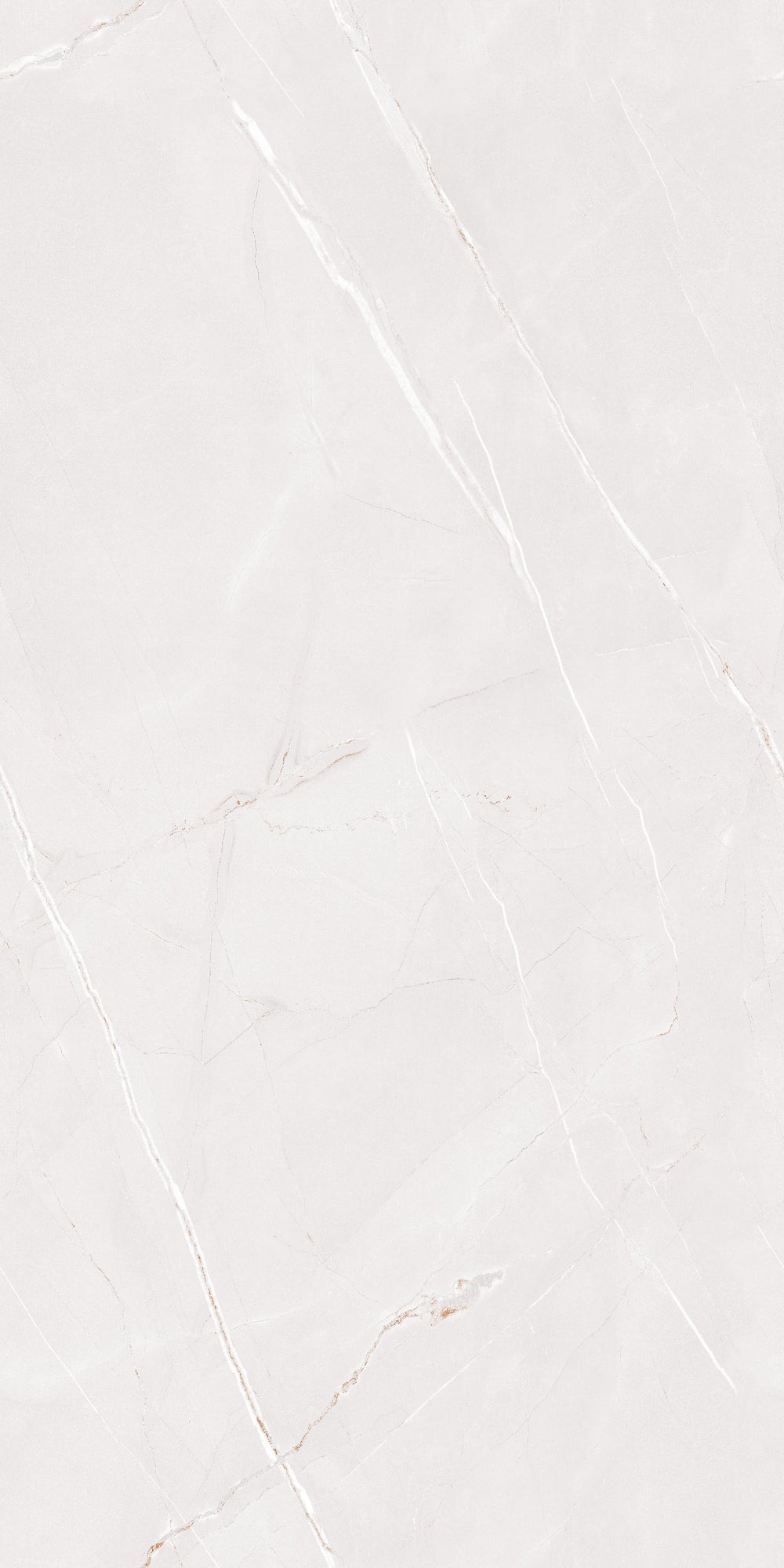 Arbian Bianco Polished 60x120