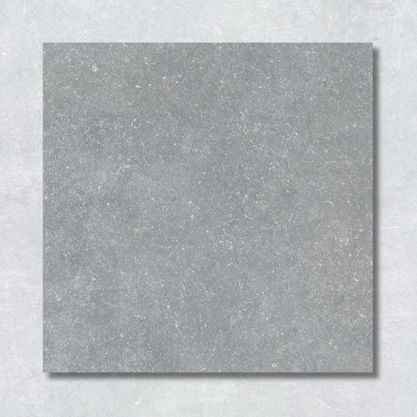 Belgio Perla 60.5x60.5x2