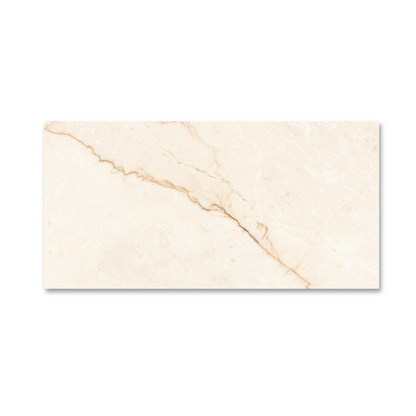 Empress Beige Matt 60x120