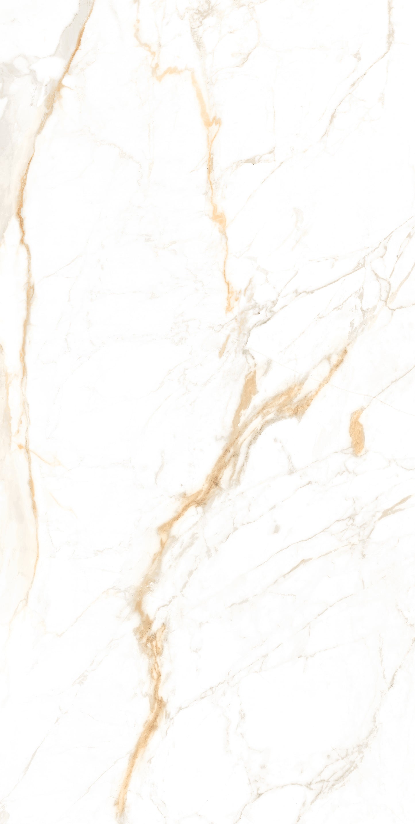 Calcatta Golden Matt 60x120