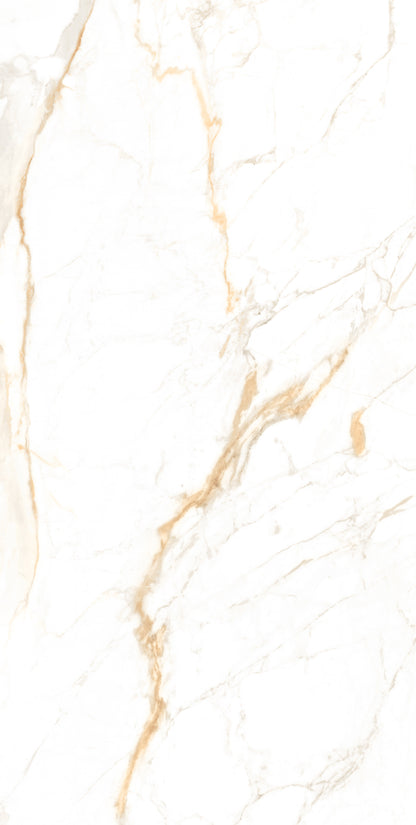 Calcatta Golden Matt 60x120