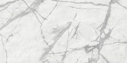Invisible White Matt 60x120