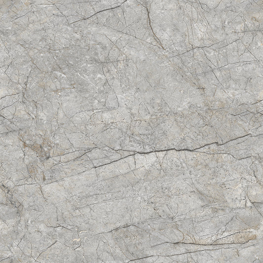 Forest grey Gloss 60x60