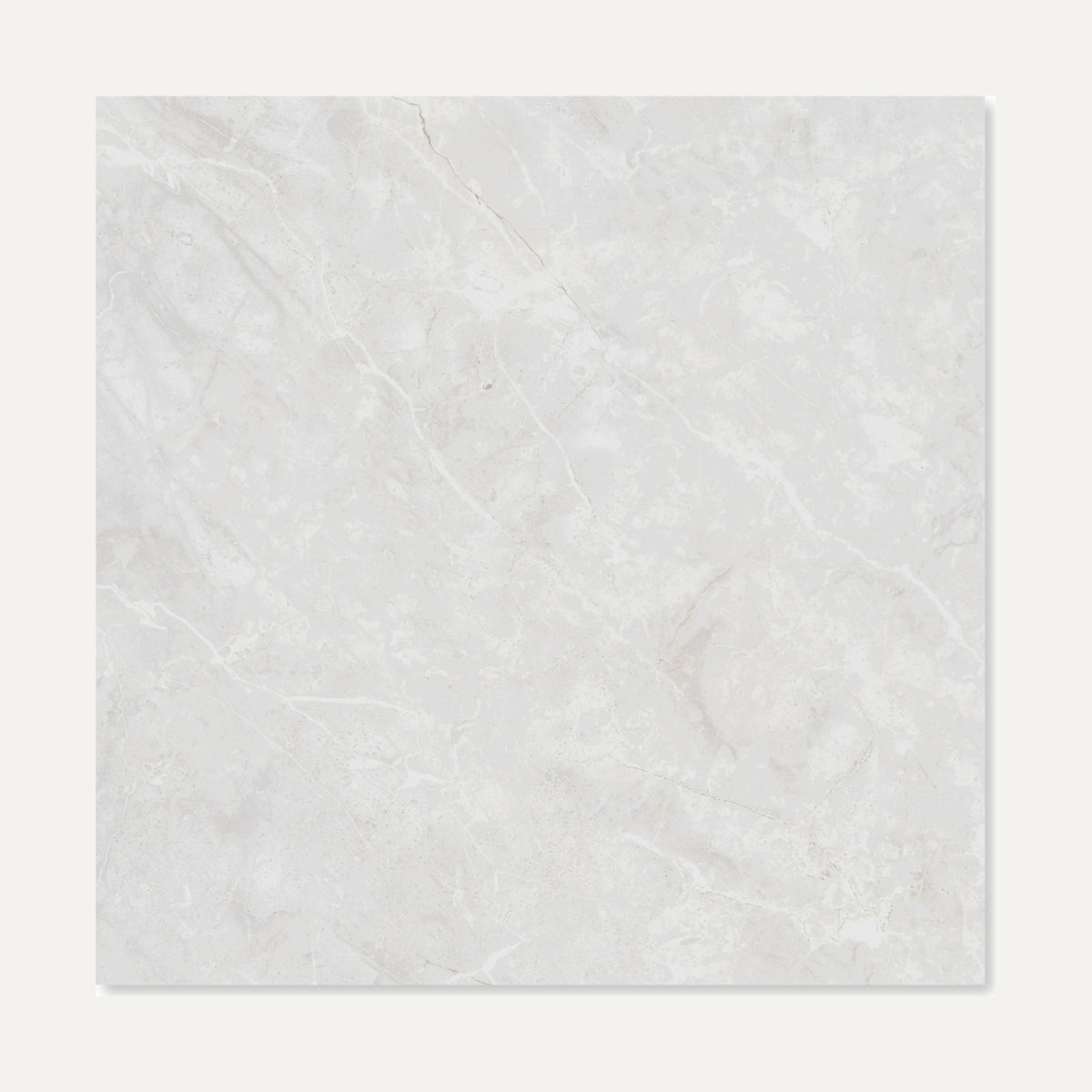 Belvedere White Polished 60x60