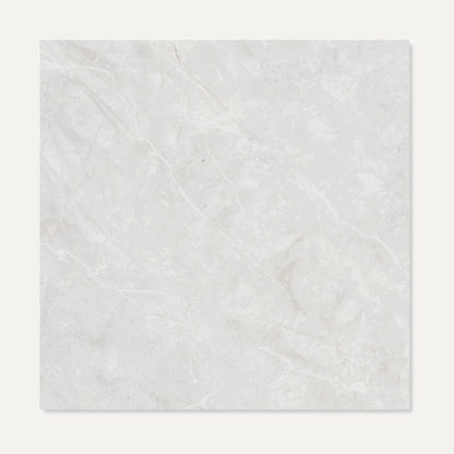 Belvedere White Polished 60x60