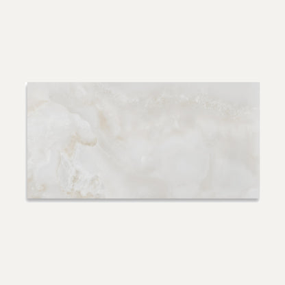 Amarna Shell Polished 60x120
