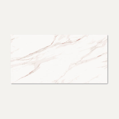 Rosebury White Endless 60x120