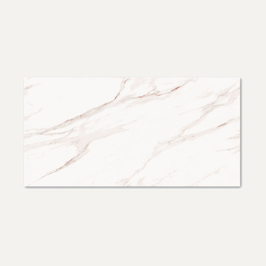 Rosebury White Endless 60x120