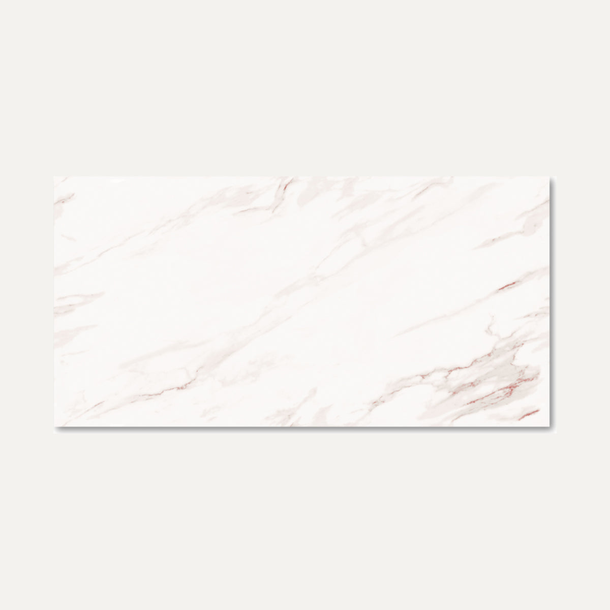 Rosebury White Endless 60x120