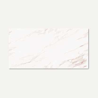 Rosebury White Endless 60x120