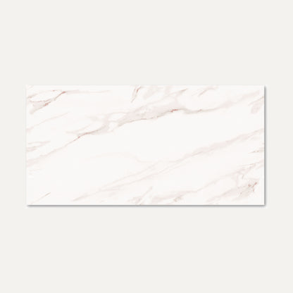 Rosebury White Endless 60x120