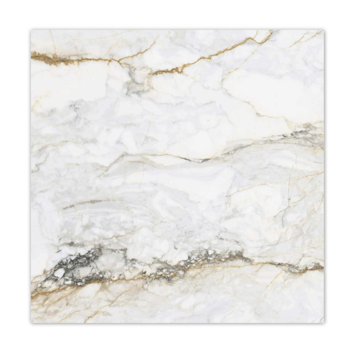 Pisa Gold Polished 120x120